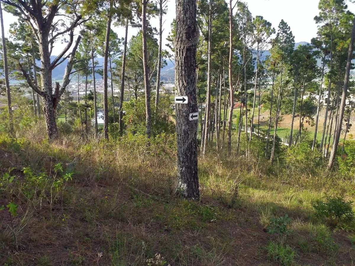 Pinar Del Valle - Camping Y Glamping En Constanza Lodge
