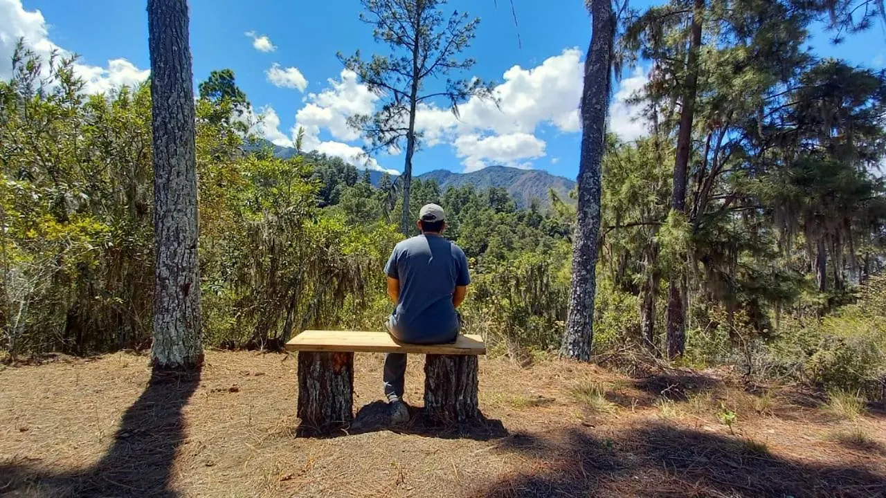 Pinar Del Valle - Camping Y Glamping En Constanza 0*,