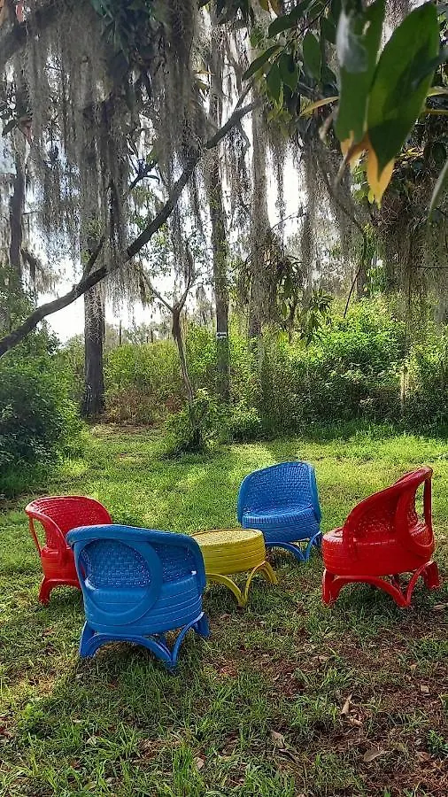 Pinar Del Valle - Camping Y Glamping En Constanza 0*,