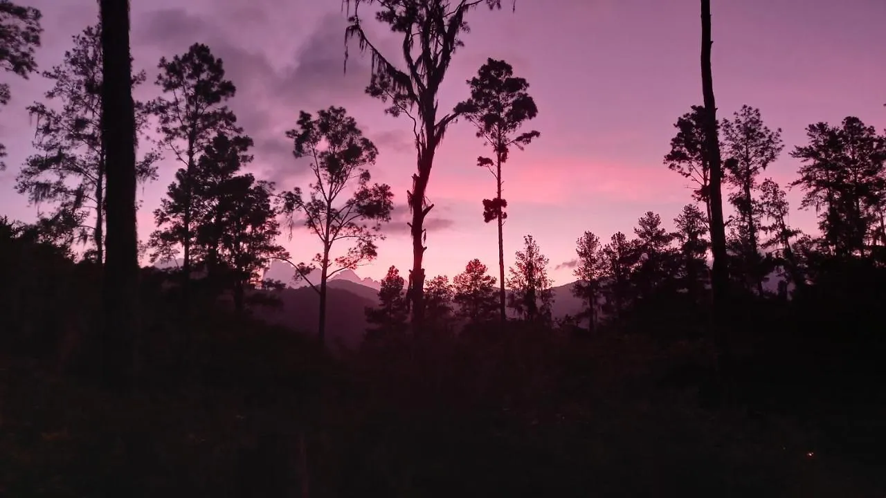 Lodge Pinar Del Valle - Camping Y Glamping En Constanza