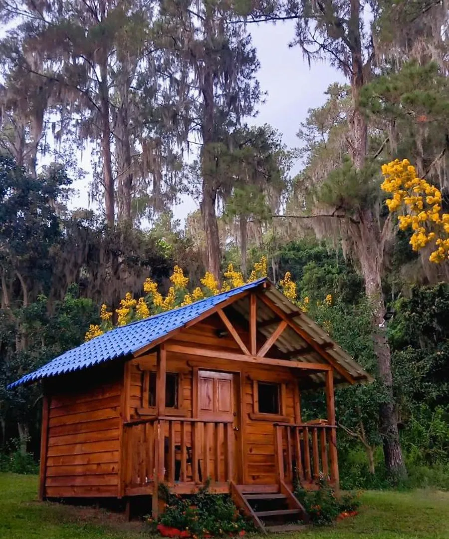 Pinar Del Valle - Camping Y Glamping En Constanza location