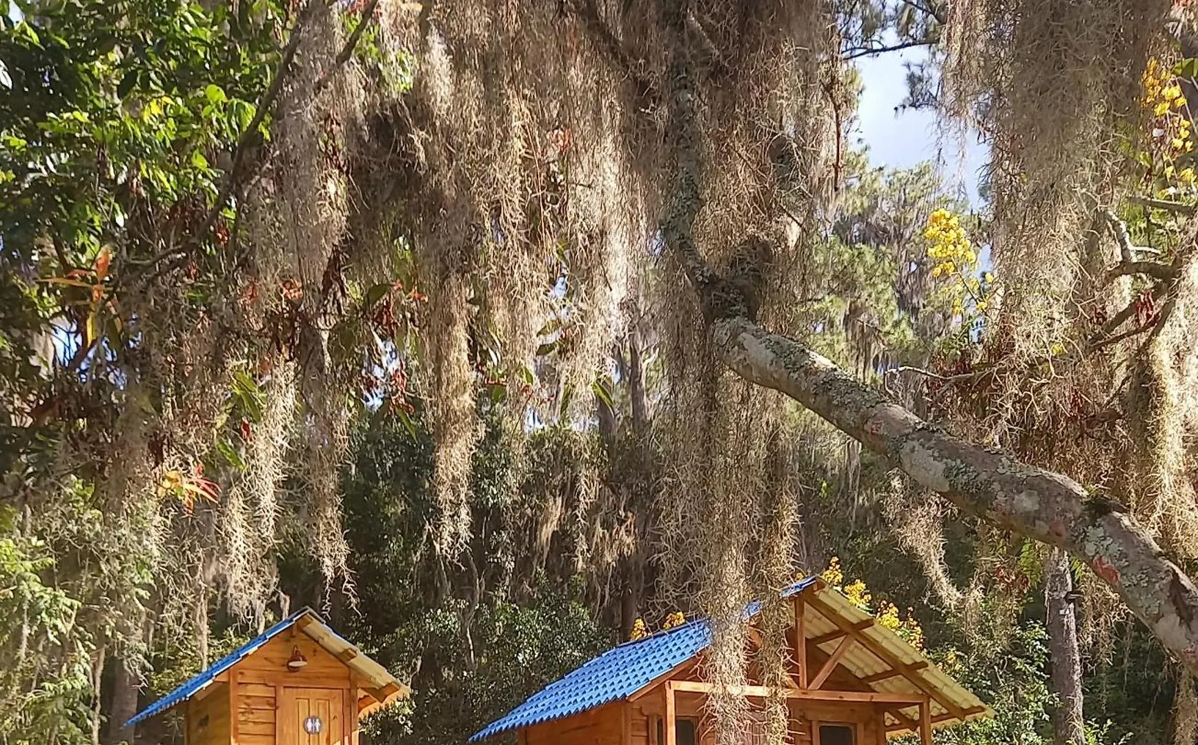 Pinar Del Valle - Camping Y Glamping En Constanza 0*,  Dominican Republic